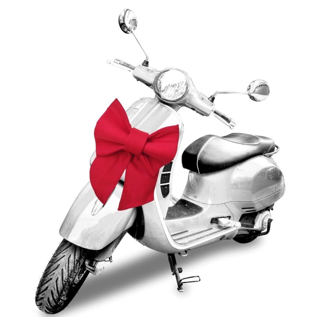 Laço Gigante Vermelho Moto ou Carro Decoração Tecido Oxford