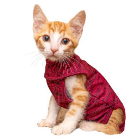 Roupa Protetora Pós-Cirúrgica para Pet Roupinha para Castração Gatos Tamanho 3 e 5