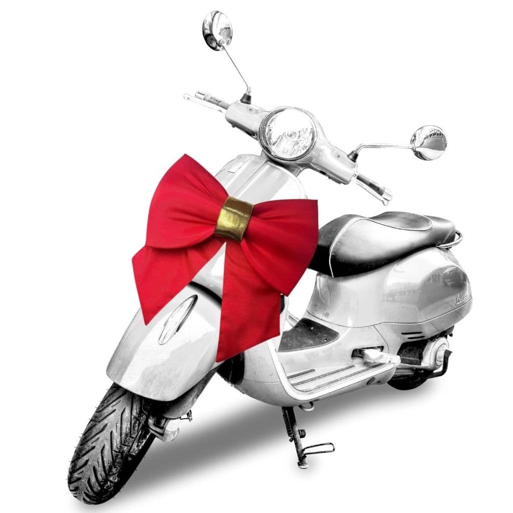 Laço Gigante Vermelho Natal Moto Carro Decoração Oxford
