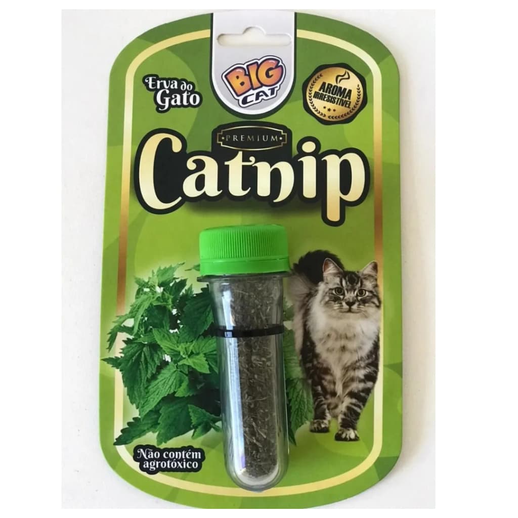 Catnip Erva Do Gato Frasco Com 3g - BBB Love