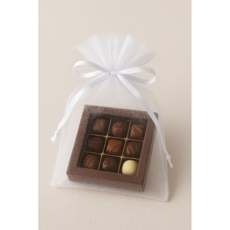 Kit Com 25 Unidades Saco Organza Branco Tamanho 20x30 Pra Colocar Objetos.Entregar Rápido.