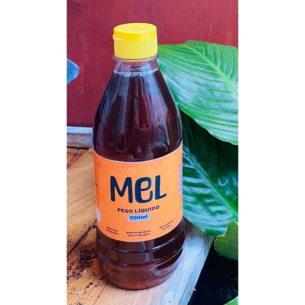 MEL DE ABELHA 100% NATURAL E ORGANICO 500ML FLORADA SILVESTRE