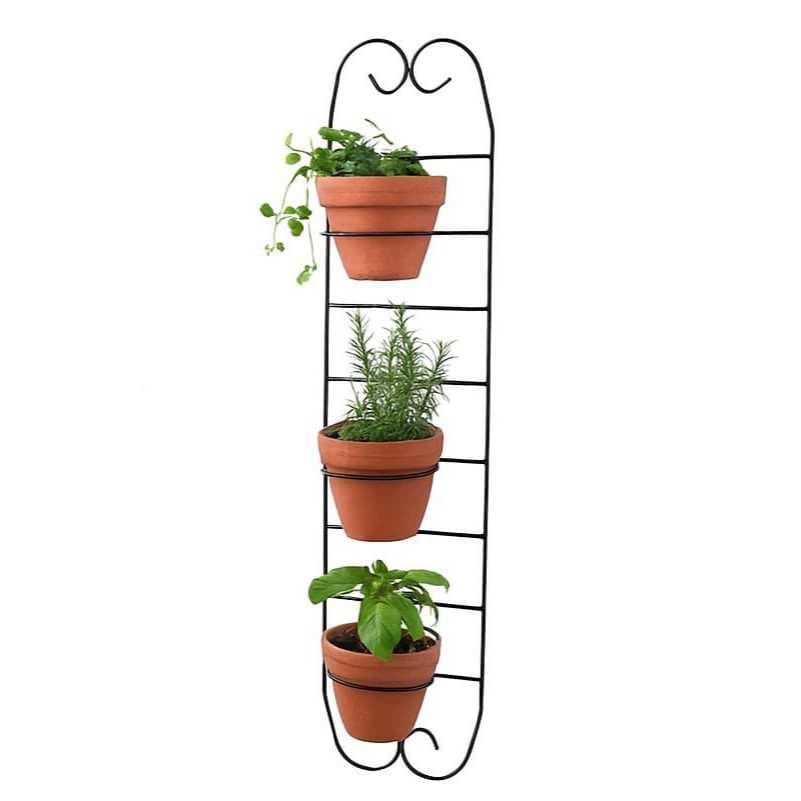 Suporte Jardim Vertical de Parede p Plantas Flores Decoração de Jardim com arcos 10 cm p em Ferro