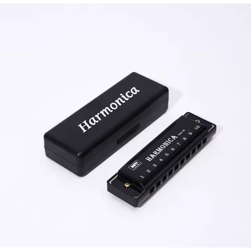 Gaita Harmonica Diatônica De Boca infantil adulto Do C estudante  Iniciante Bluess 10 furos sortidas