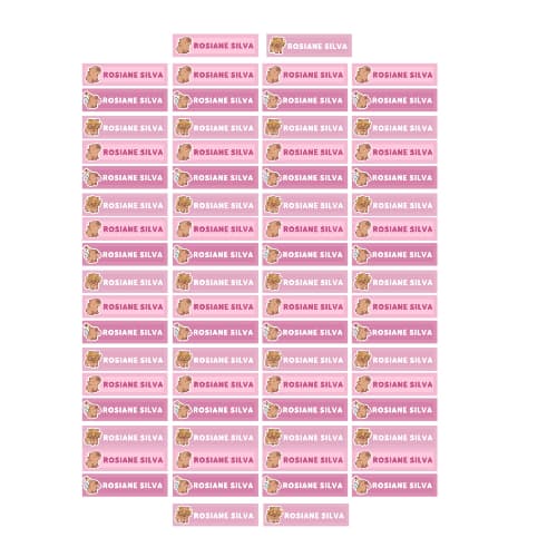 80 Unidades de Etiqueta Personalizadas |  Etiqueta Escolar Personalizada | Adesivo Escolar | Vinil a prova de água.