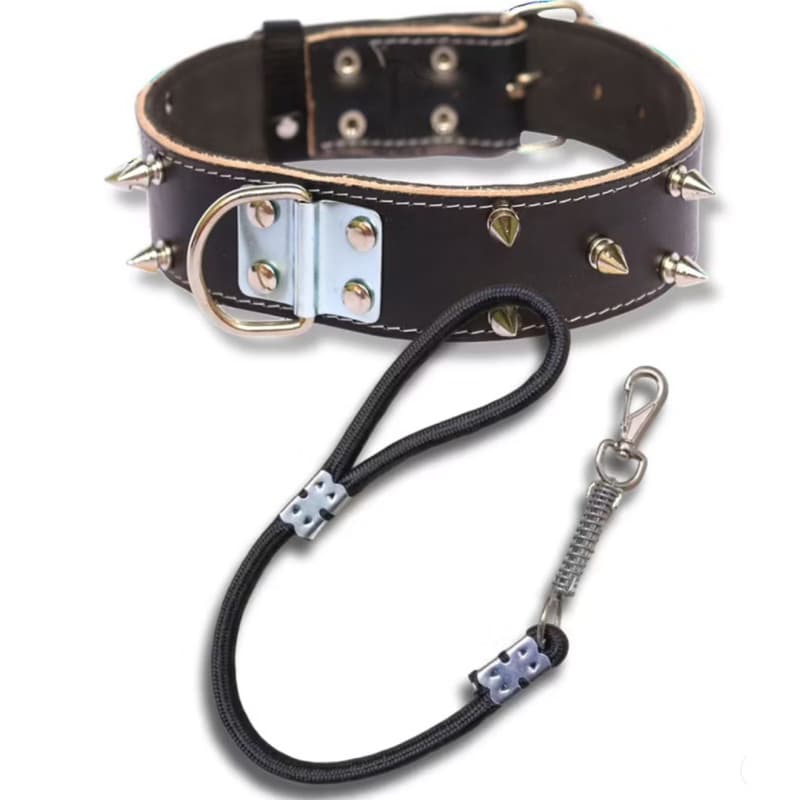 coleira de couro legítimo + guia de corda com mola (kit especial para cachorro médio e grande porte)