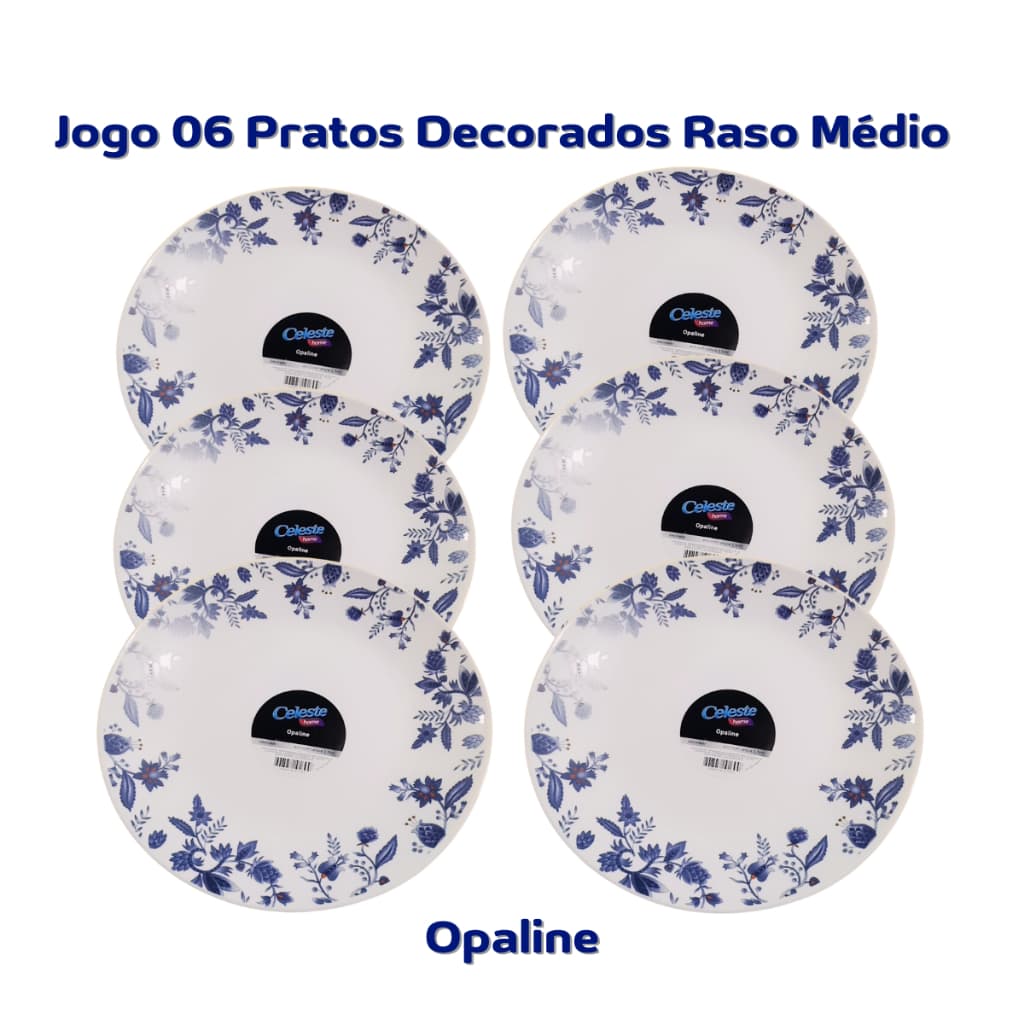 Conjunto Pratos Rasos Médio 06 Peças Decorados Casa Decoração Cozinha Home Louças