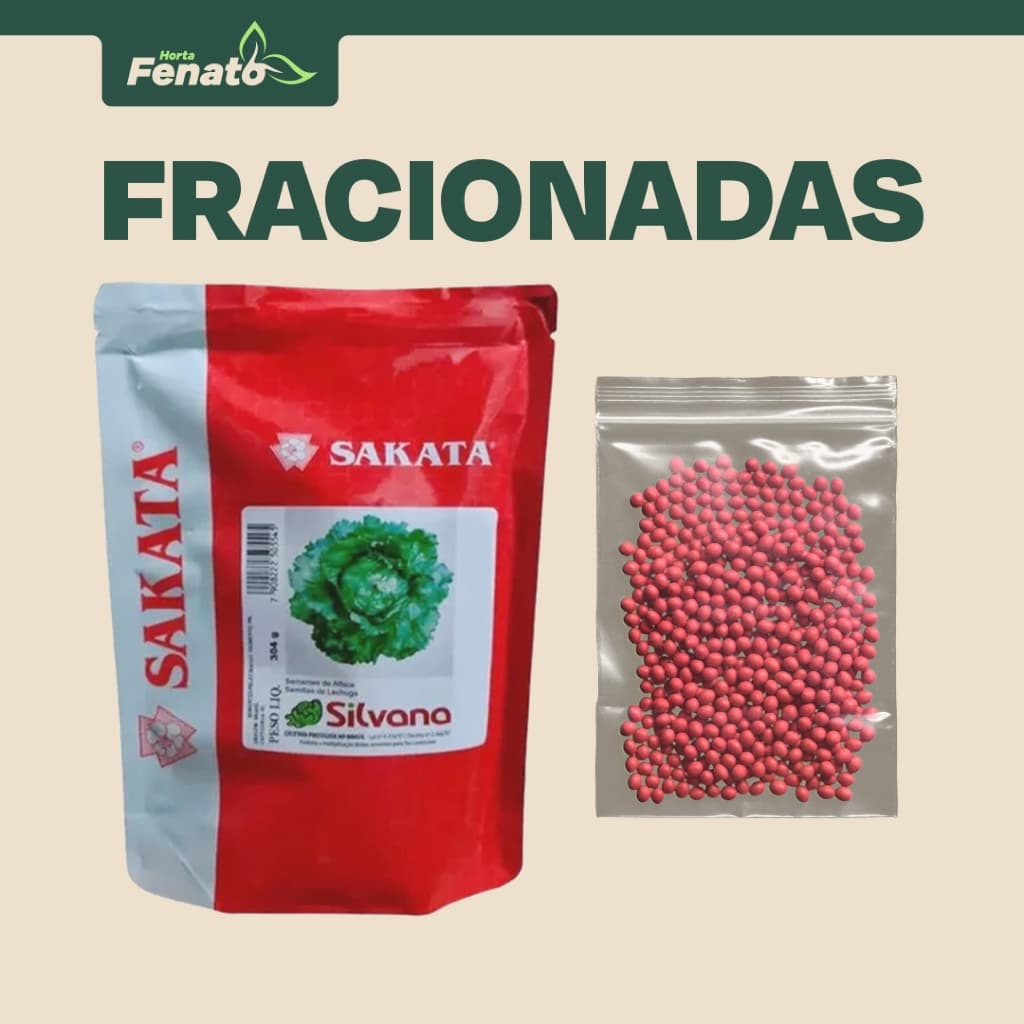 Sementes Peletizadas de Alface Americana Silvana Sakata FRACIONADAS