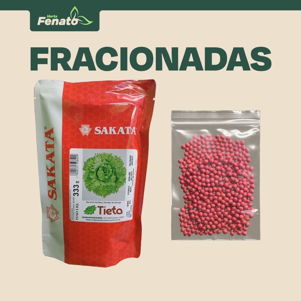 Sementes Peletizadas de Alface Americana Tieta Sakata FRACIONADAS