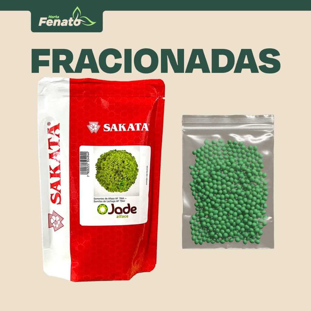 Sementes Peletizadas de Alface Crespa Jade Sakata FRACIONADAS