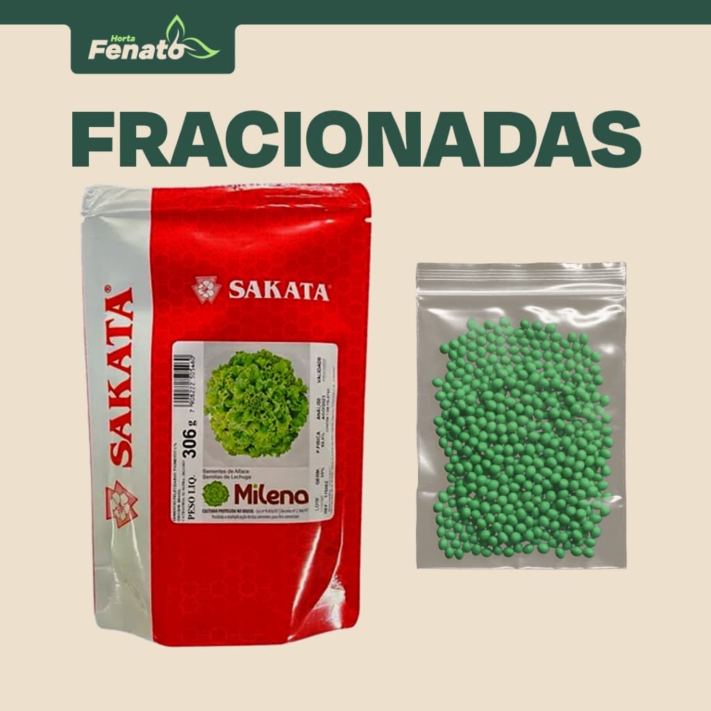 Sementes Peletizadas de Alface Crespa Milena Sakata FRACIONADAS