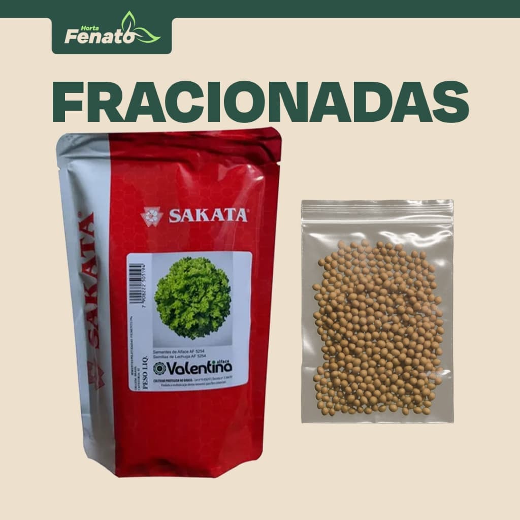 Sementes Peletizadas de Alface Crespa Valentina Sakata FRACIONADAS