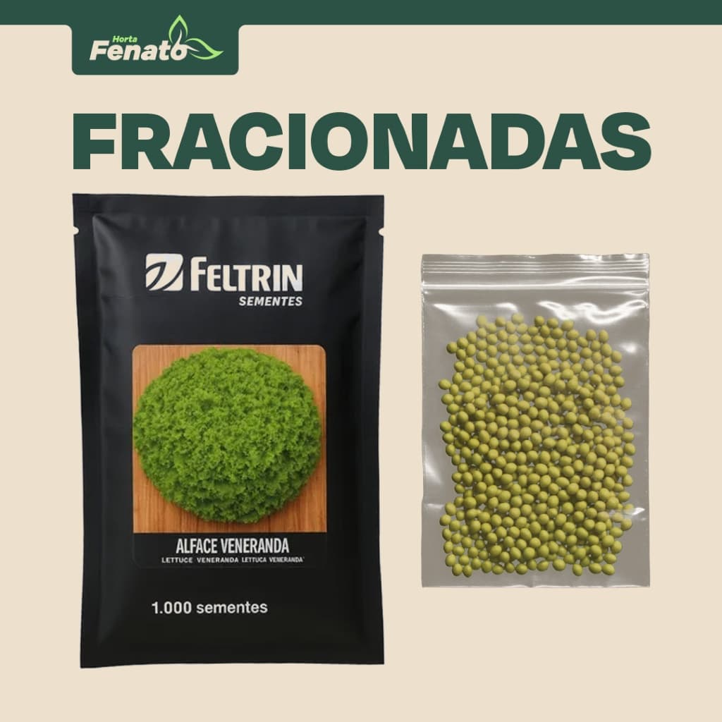 Sementes Peletizadas de Alface Crespa Veneranda Feltrin FRACIONADAS
