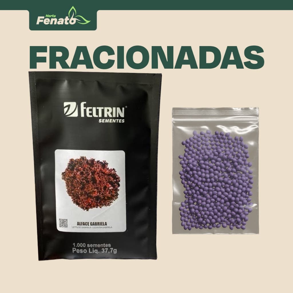 Sementes Peletizadas de Alface Roxa Gabriela Feltrin FRACIONADAS