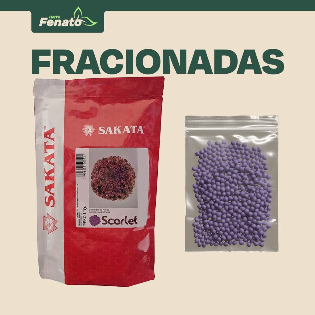 Sementes Peletizadas de Alface Roxa Scarlet Sakata FRACIONADAS
