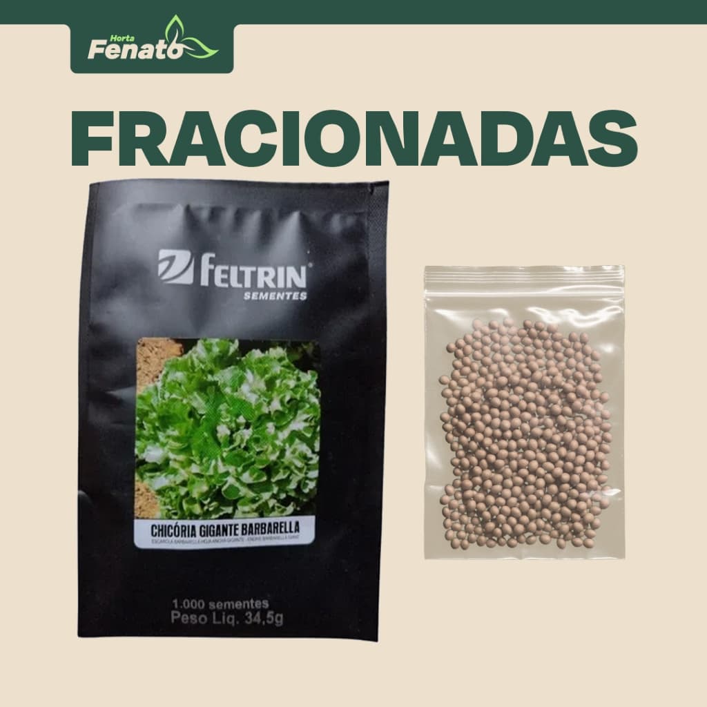 Sementes Peletizadas de Chicória Gigante Barbarella Feltrin FRACIONADAS
