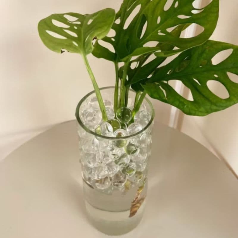 Vaso Solitário 18 cm de Altura Artesanal para Decoração de Casa e Festas no Geral