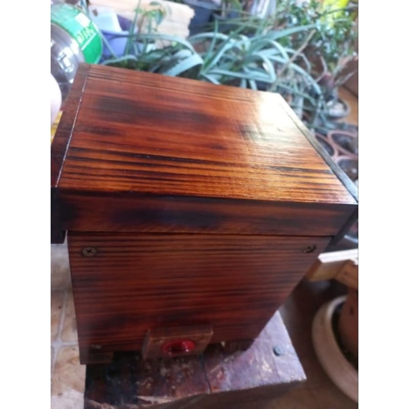 Caixa abelha jatai 12x12