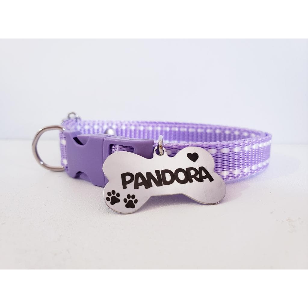 Coleira para cachorro com plaquinha de identificação personalizada