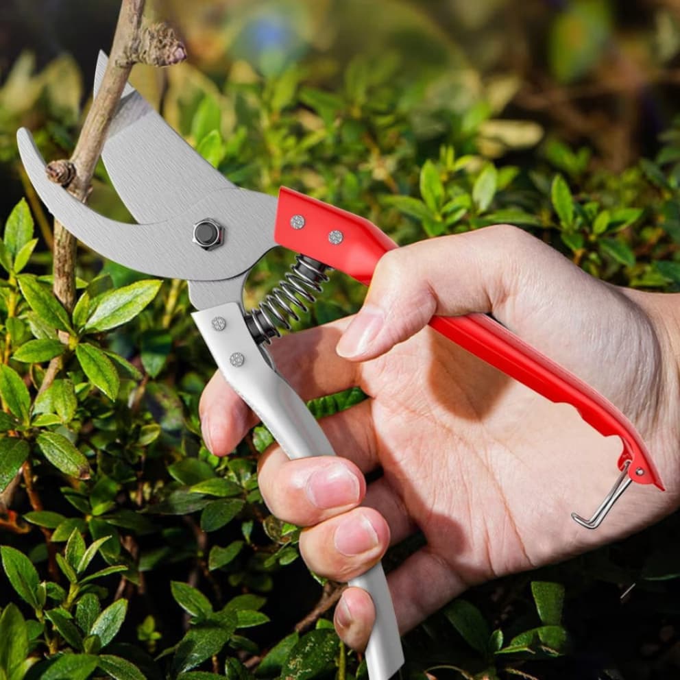 Tesoura ergonômica de poda para jardinagem Super Afiada para Jardinagem bonsai vaso cuidados com flores jardim plantas