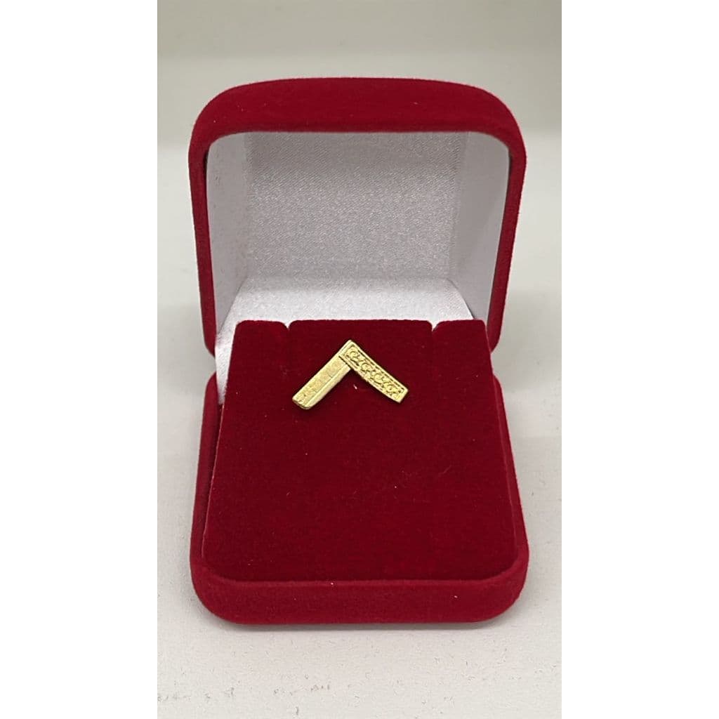 Botom Pin Maçonaria Venerável Mestre Maçonaria Dourado