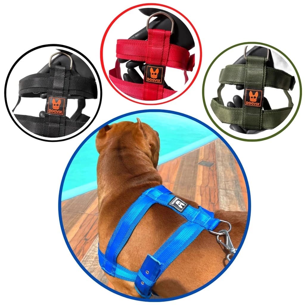 Coleira Peitoral + Guia Adestramento Para Cachorro Pet Pitbull Porte Medio E Grande Seguro E Confortavel