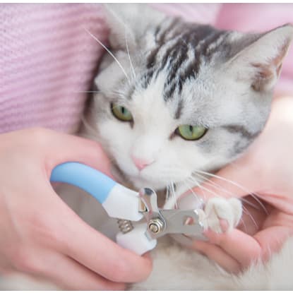 🐾 Alicate Cortador de Unhas para Pets ✂️ Gatos e Cães de Pequeno Porte – 15,5cm