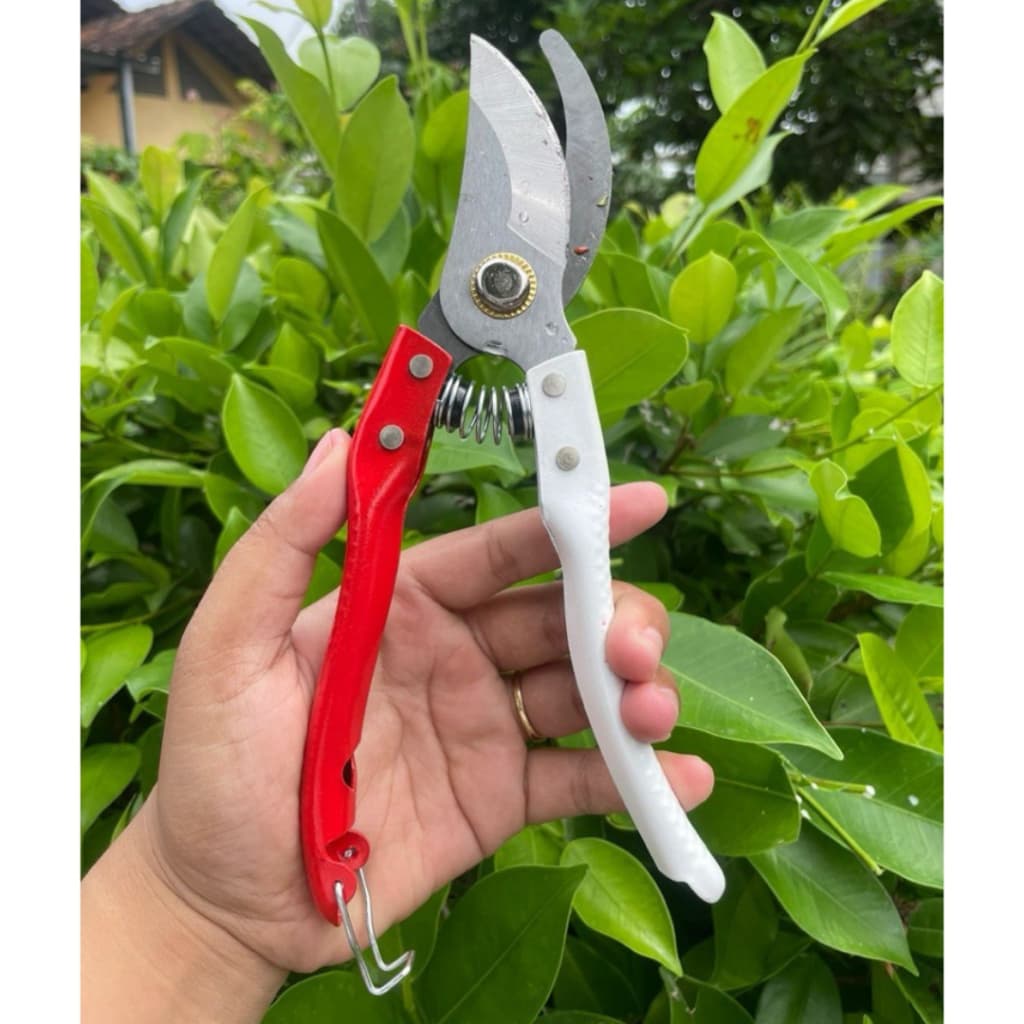 Tesoura De Poda Profissional Jardinagem