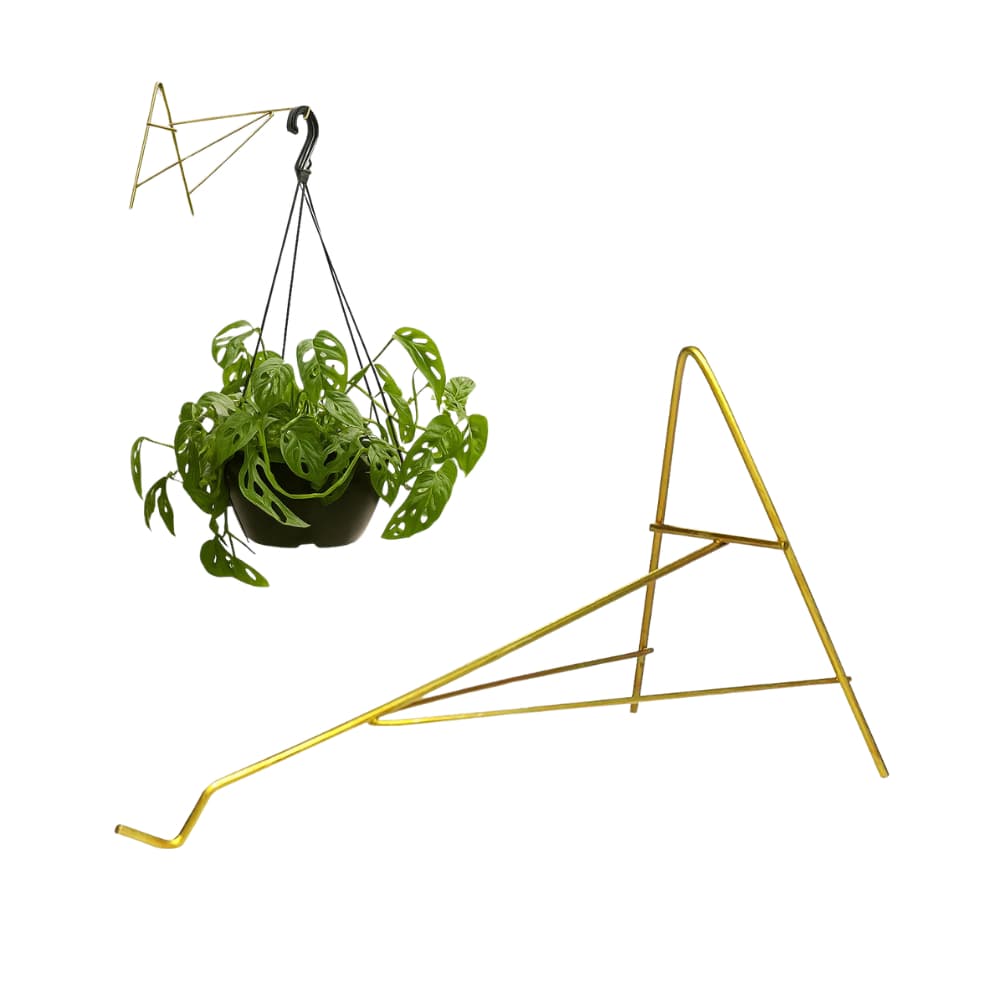 Kit 5 Suporte para Vaso de Parede Xaxim 21cm Gancho para Vaso de Planta Suspensa em Aço Resistente Águia