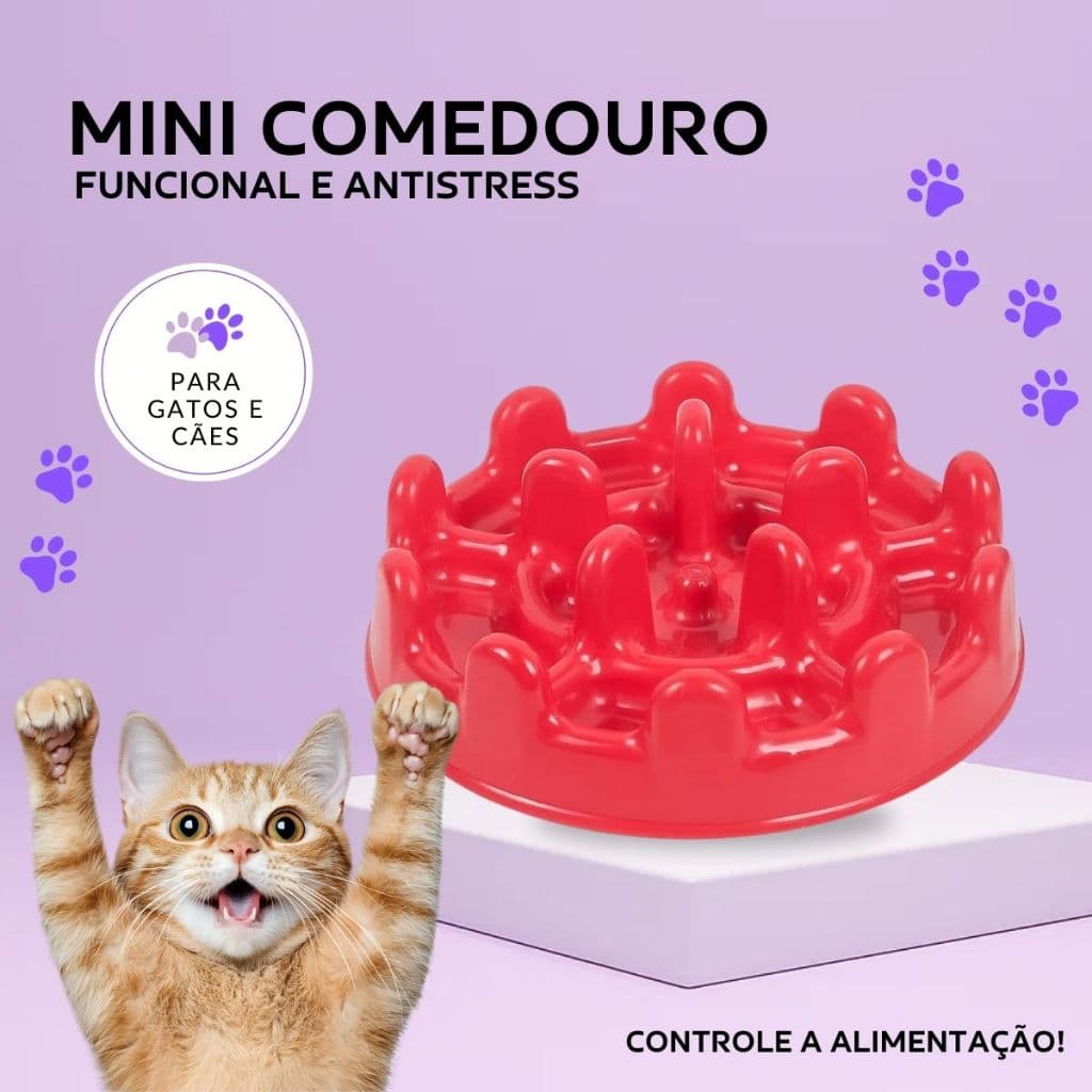 Comedouro Lento para Cães e Gatos porte pequeno Mini Pet Interativo Educativo Pet Games Pote Ração