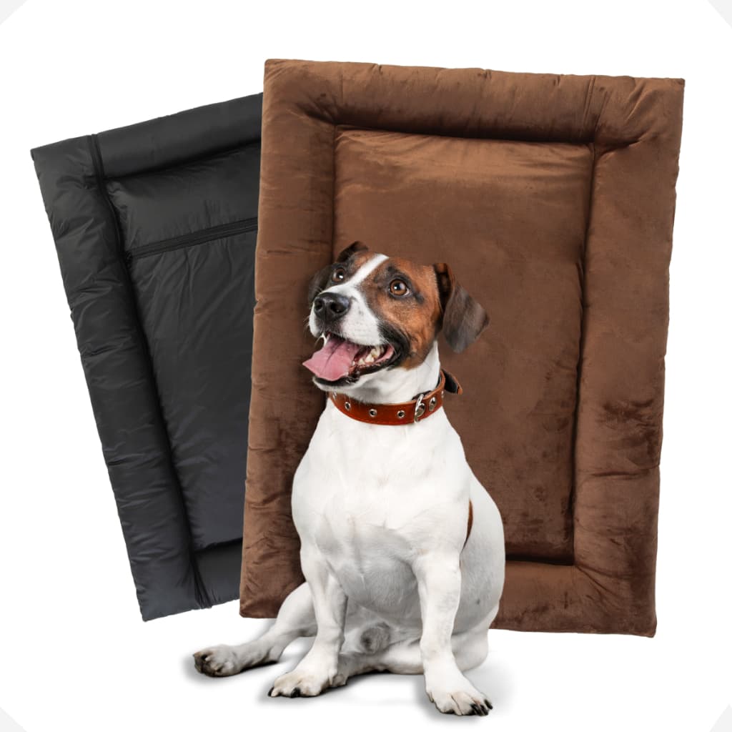 Cama Colchonete Pet Nuvem Cachorro E Gato Impermeável Antialérgico Fofinho Dog Almofada