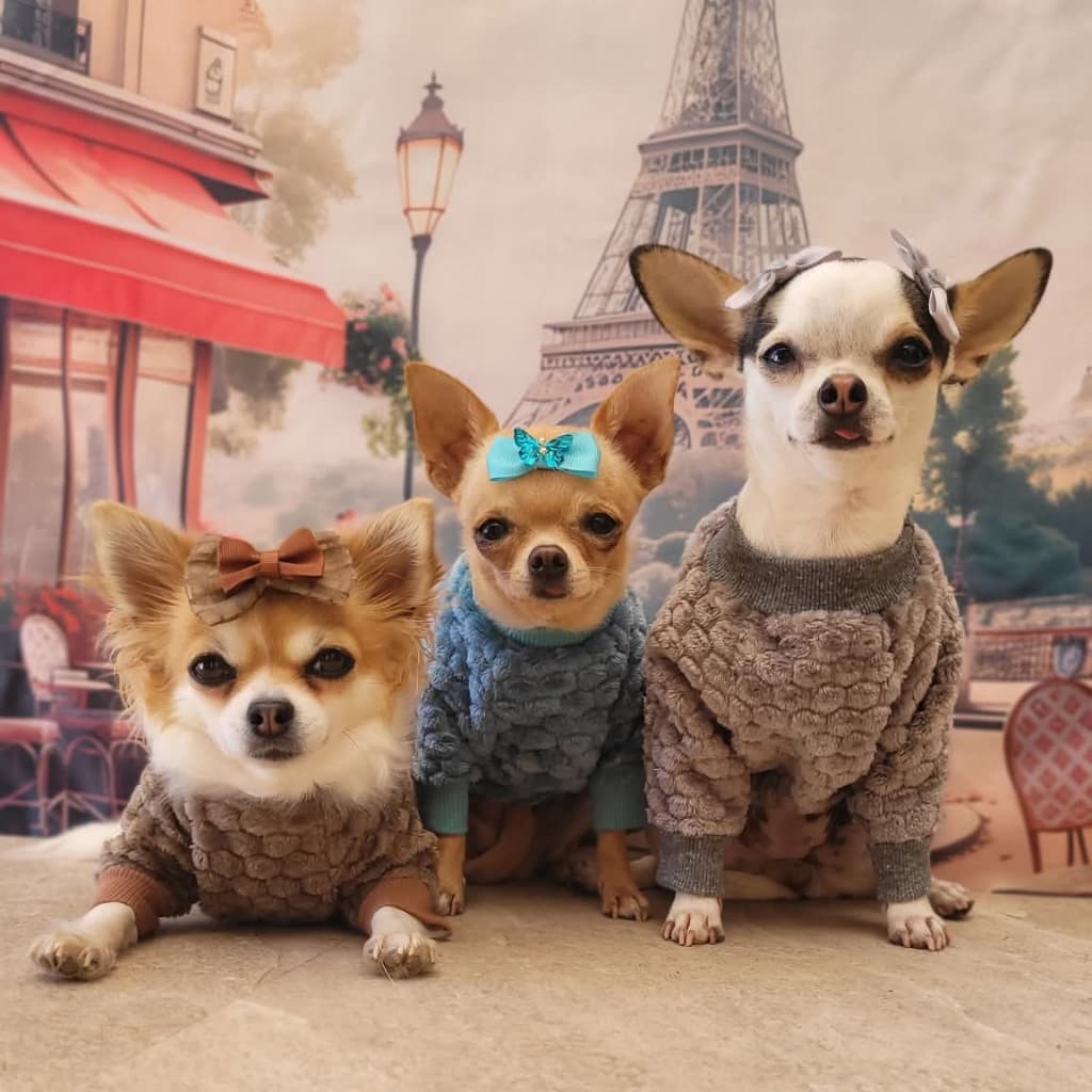 Casaco Pet de Fleece Texturizado | Roupa pet de Inverno para Cachorro e Gato
