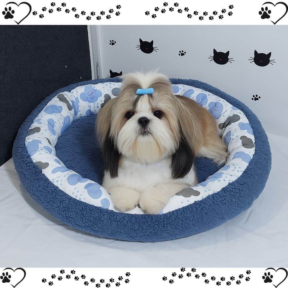 Cama Pet Cathouse  Fofinha Conforto Caminha Cachorro Gato - Cores sortidas