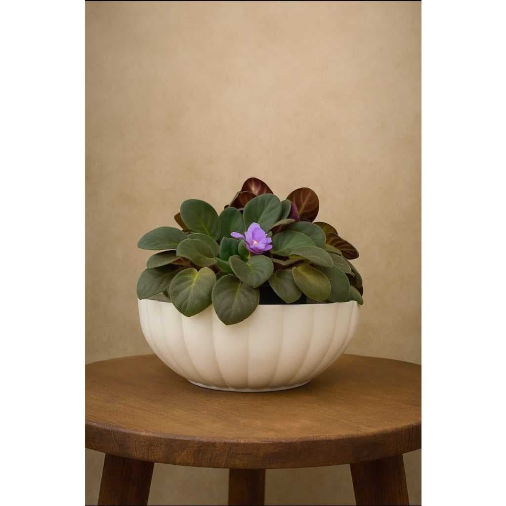 Vaso para Plantas Bacia Ondulada 25 cm estilo Fibra de Vidro Cachepô