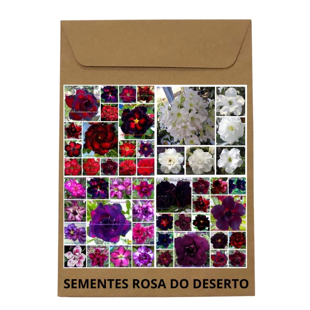 Rosa do Deserto. Oportunidade 100 sementes MIX de cores