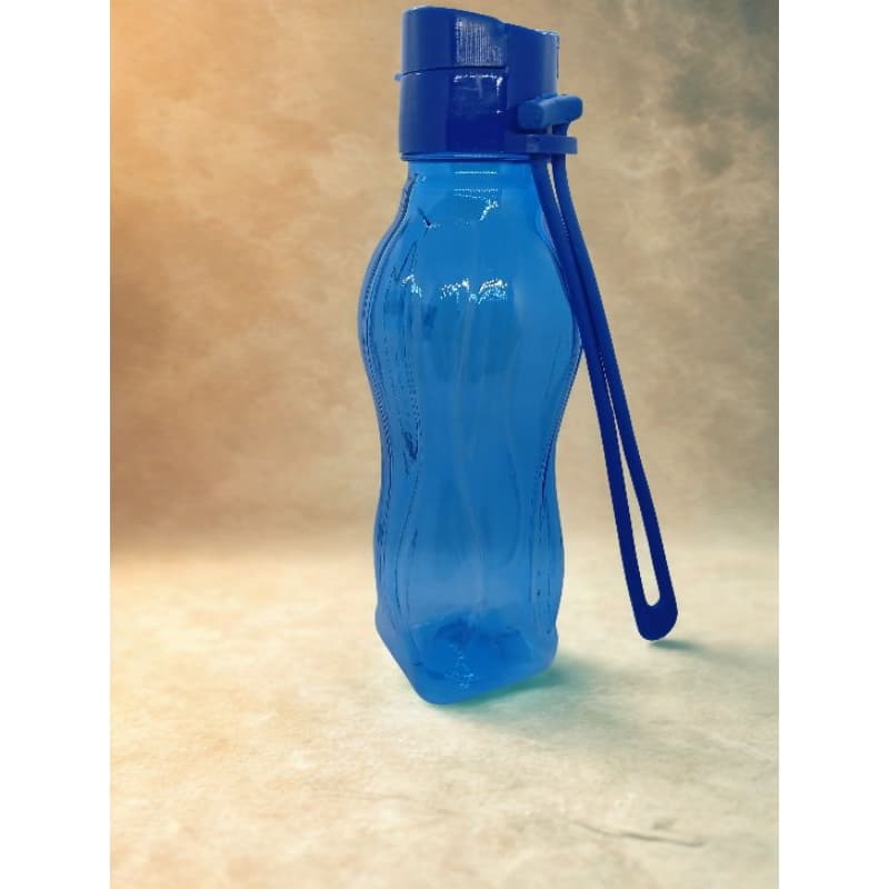 Garrafa Squeeze 300ml Colorido | Garrafinha Plástica Escolar, Festa, Lembrancinha e Brinde | Garrafinha