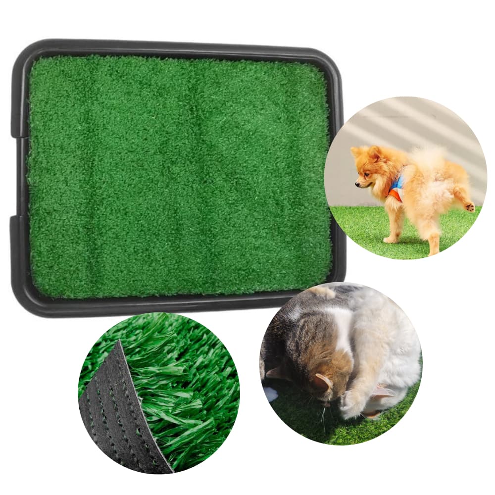 Tapete para Gatos e Cachorros 1m² Grama Sintética Sanitário Higienico Pet  Descartável e Lavavel