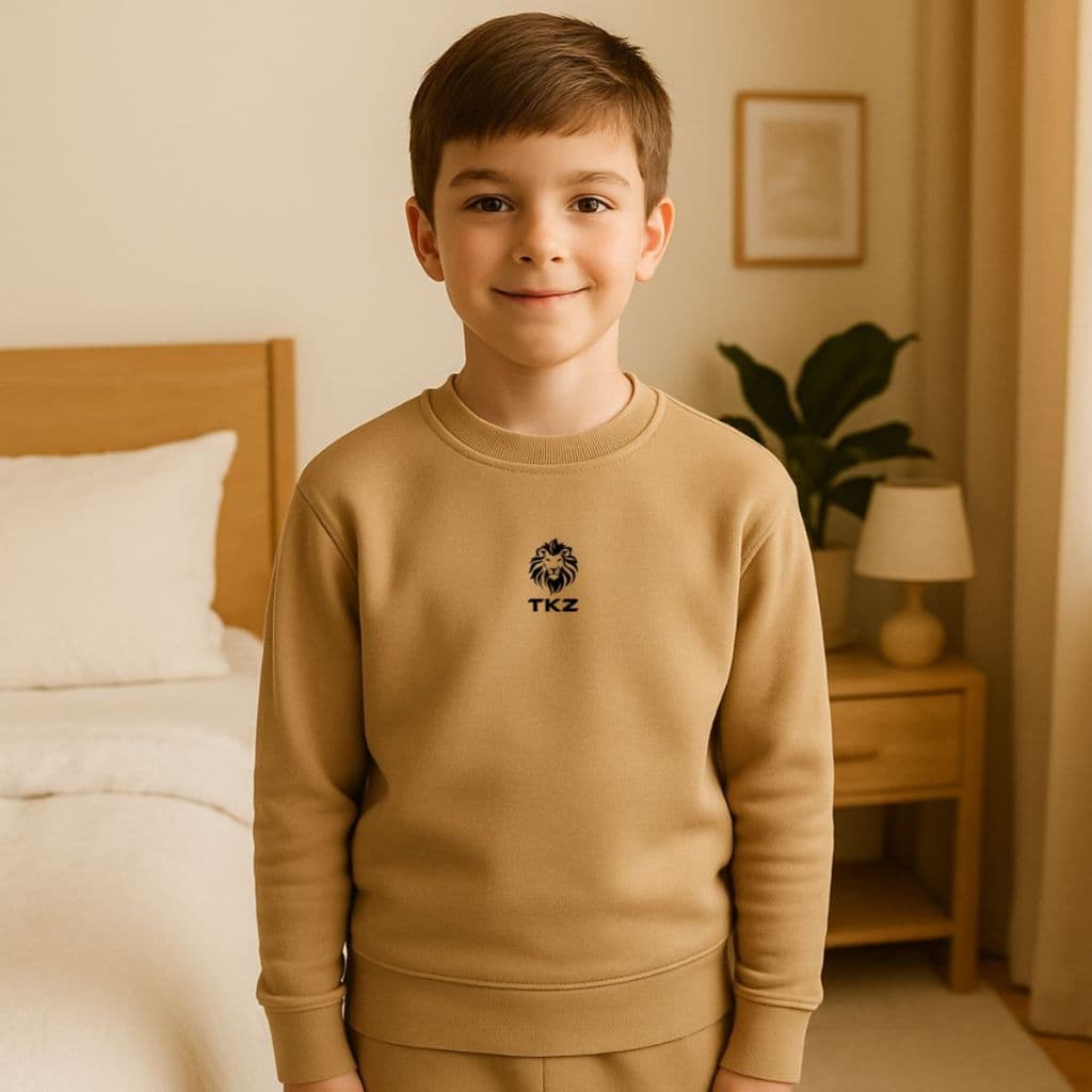 Moletom Blusa de Frio Infantil Sem Capuz Quentinha Leão TKZ