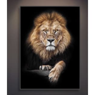 Quadro Decorativo Leão Selvagem Moderno Premium Grande 80x60 ou 70x90