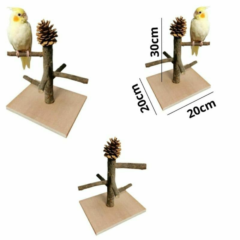 Brinquedo Parque 5 galhos verticais e uma pinha para calopsita, agapornis e periquitos