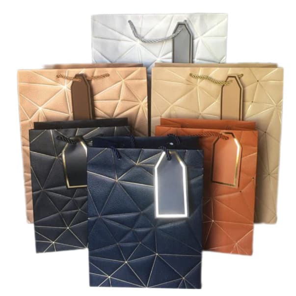 Sacola Papel presente e Embalagem Bolsa Colorida Tam. P M G