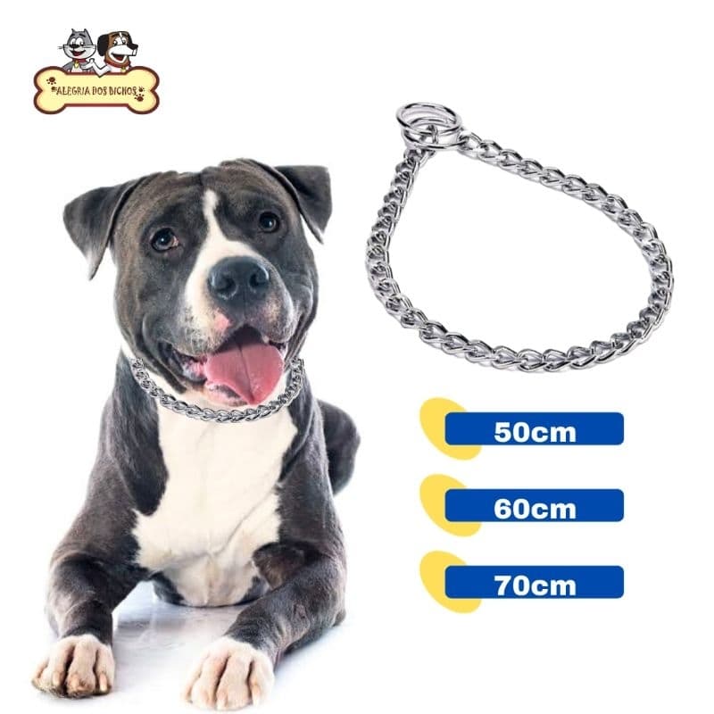 Coleira Cachorro Reforçada Colar Enforcador Elo Chato 3.5mm