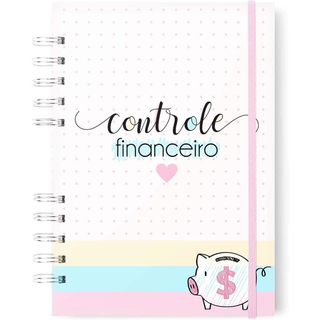 PLANNER FINANCEIRO PERSONALIZADO - ORGANIZE A SUA EMPRESA OU SUAS FINANÇAS PESSOAIS 2023 2024