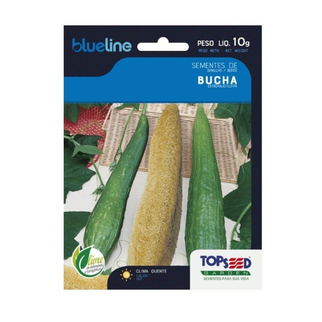 150 SEMENTES PARA PLANTIO DE DE BUCHA / ESPONJA VEGETAL