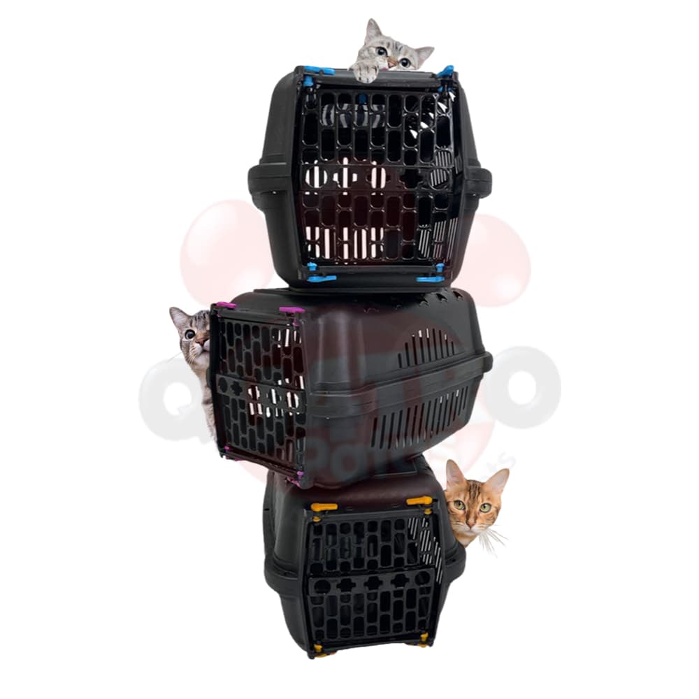Caixa de transporte pet para gatos caes coelho transporte pet N°1 - Durapets