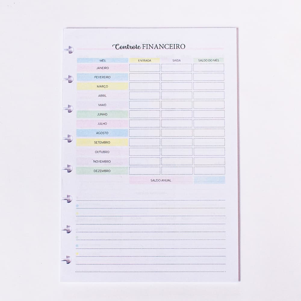 Refil para caderno de discos Controle Financeiro