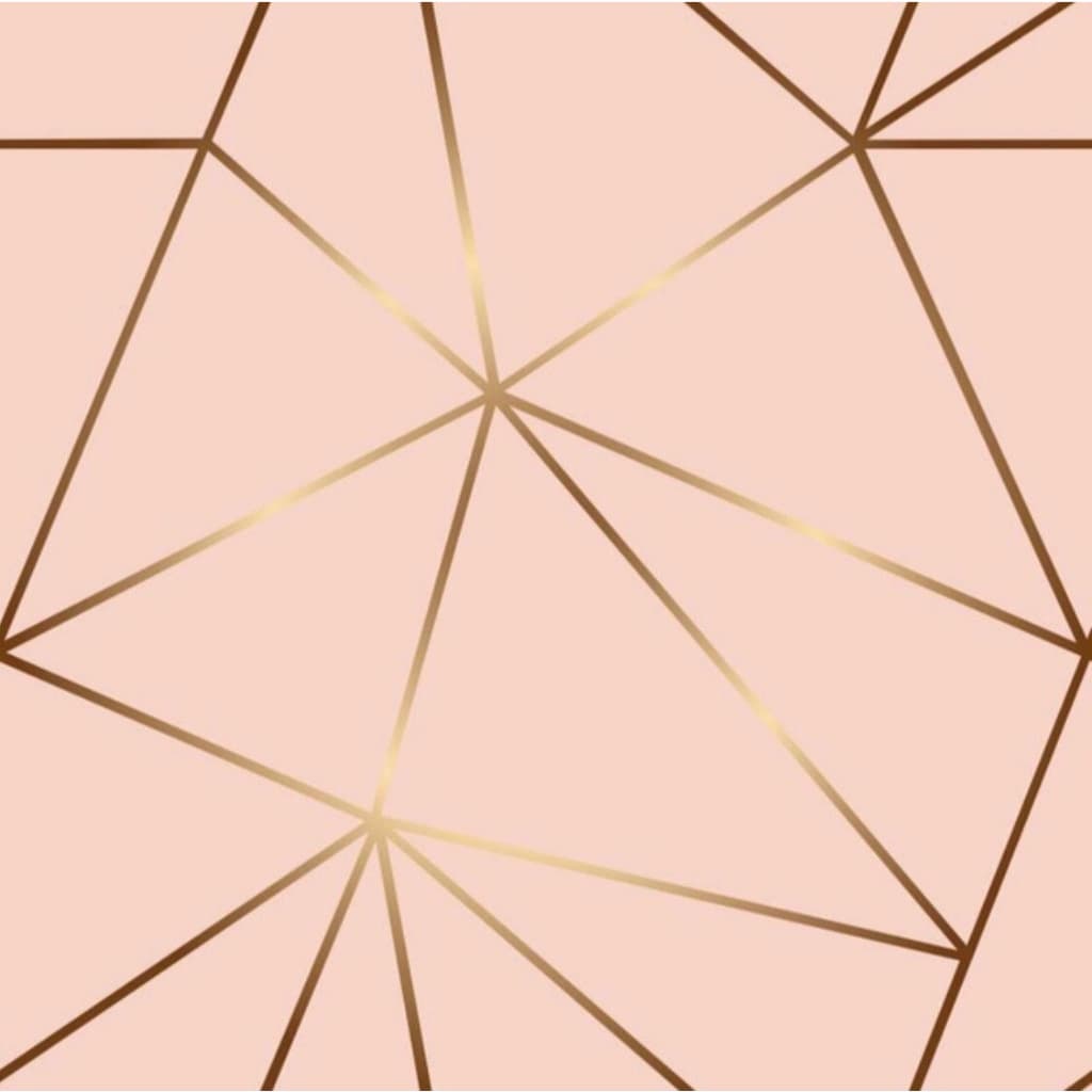 Papel de Parede Zara Rose R 5 METROS x 45CM Adesivo Autocolante para Sala, Quarto