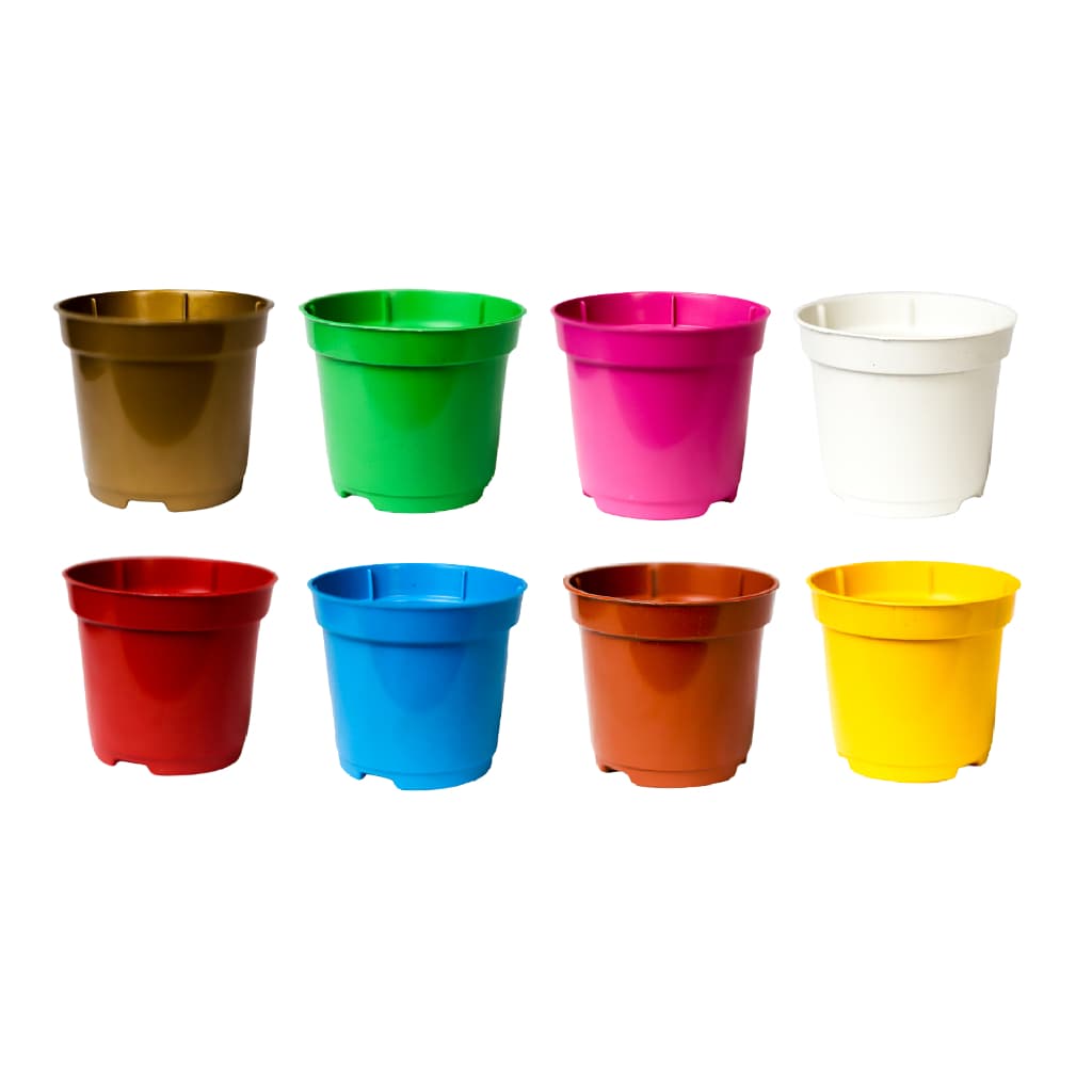 100 Vasos Pote 6 Sortido Para Mini Cactos E Suculentas 80ml presente para alunos