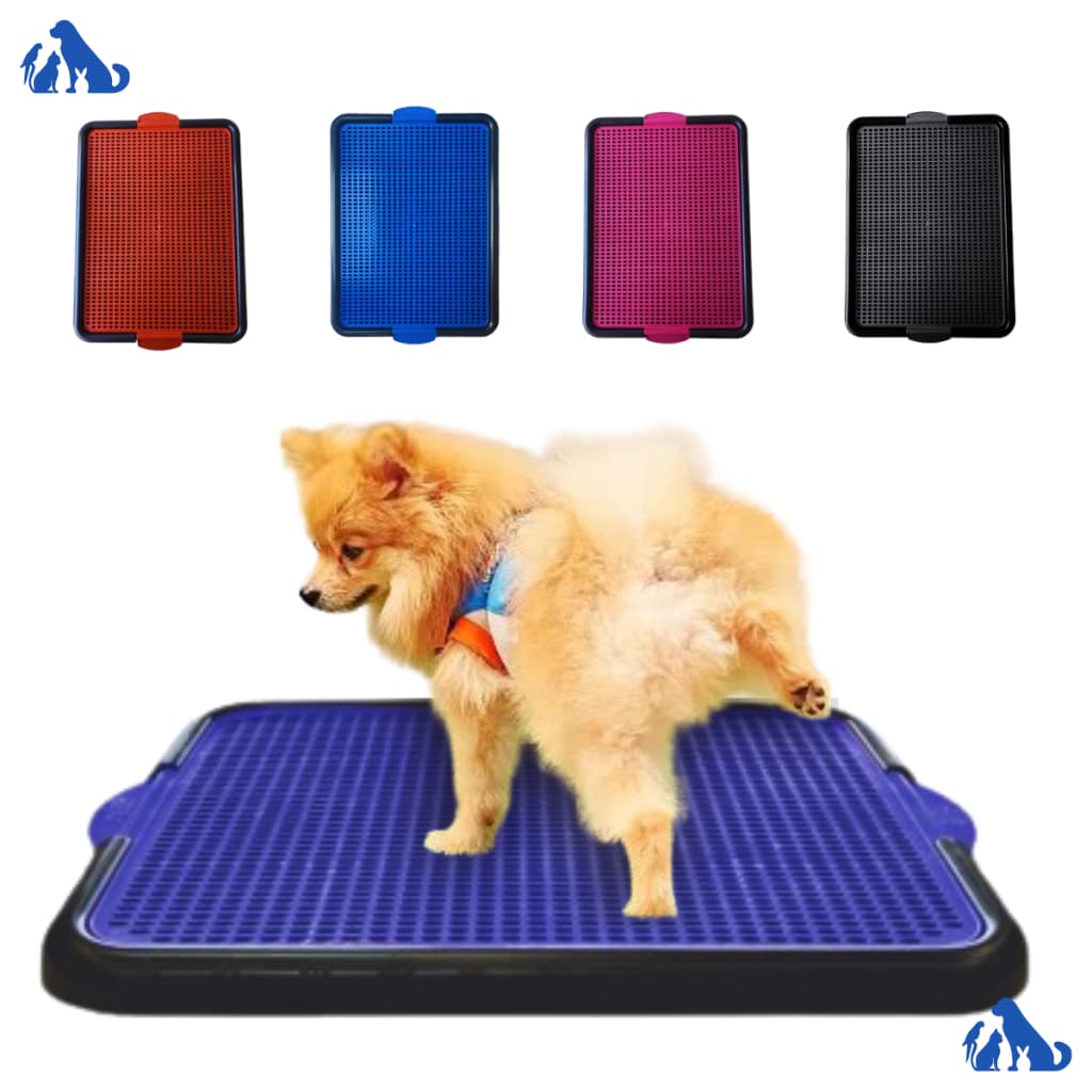 Sanitário Canino Pet Tapete Higiênico  Xixi Dog Banheiro