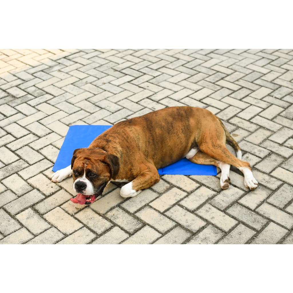 Tapete gelado meu pet tamanho m 50cm x 40cm azul